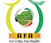 logo-google afa