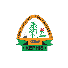 logo-google kephis