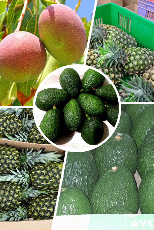 Fruits