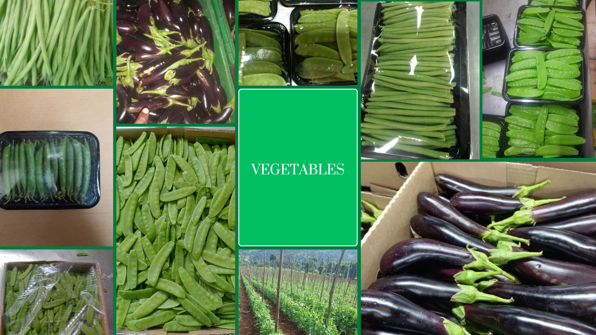 services-2 vegetables